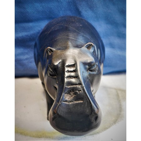 Hippopotamus Craft - Image 2